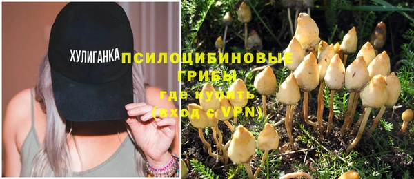 соль ск Белокуриха