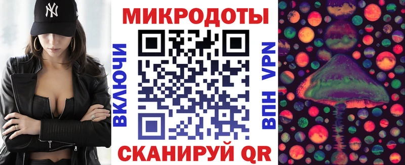 Псилоцибиновые грибы Psilocybe Сердобск
